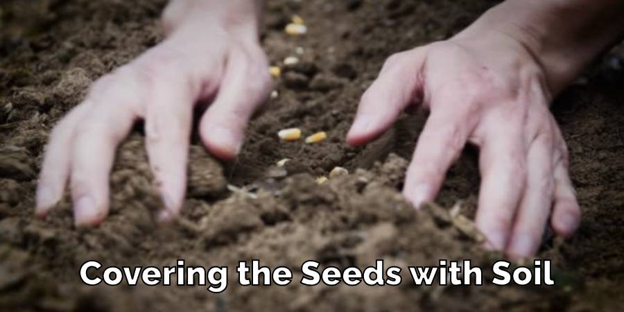 Covering the Seeds with Soil