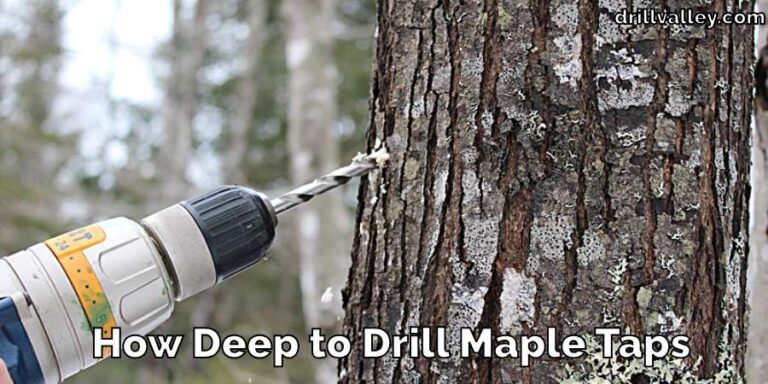 How Deep to Drill Maple Taps